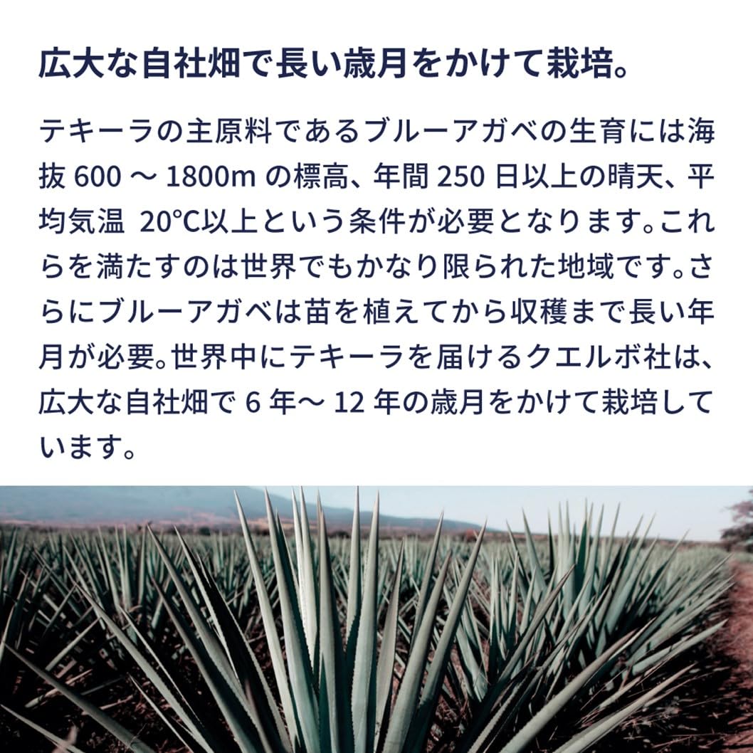 Jose Cuervo Especial Tequila 38%, 700ml : Amazon.sg: Grocery